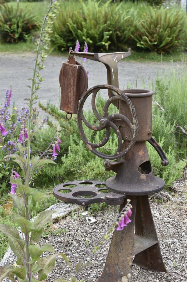 Lucky Mud Inn And Disc Golf Resort Skamokawa Kültér fotó